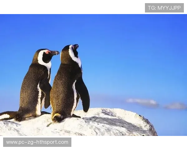 印度队击溃南非，投球表现完美，印度队击溃南非,投球表现完美吗