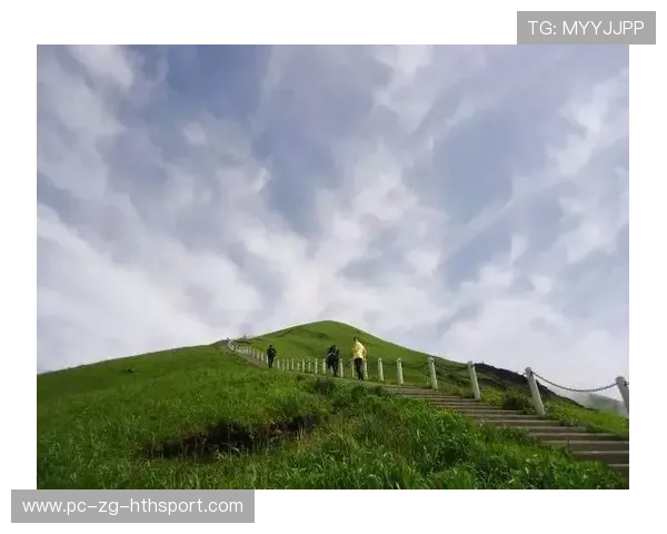 德约称信念是胜利关键：从低谷到巅峰的心灵之旅