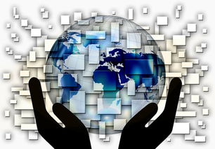 华体会体育入口-全国电子竞技公开赛上海收官，全国电子竞技大赛官网2020